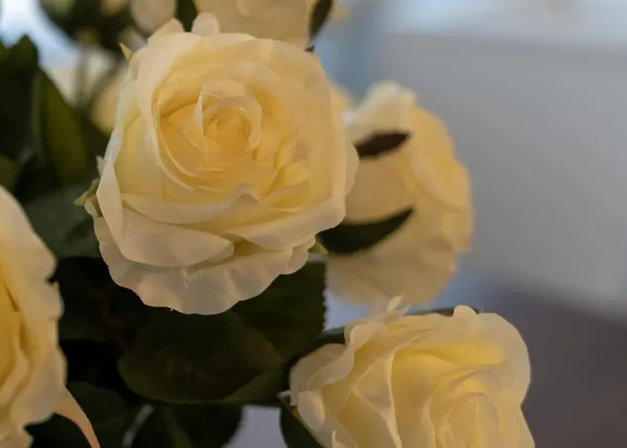 Casa Viola * Bergamo